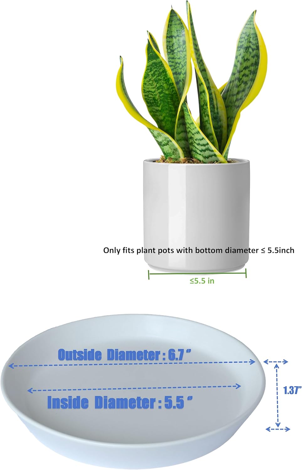 Plant Saucer Tray of 2 Pack 6 Inch, 7 inch (6.7 Inch) Plant Saucer Tray, Heavy Duty Glazed Ceramic