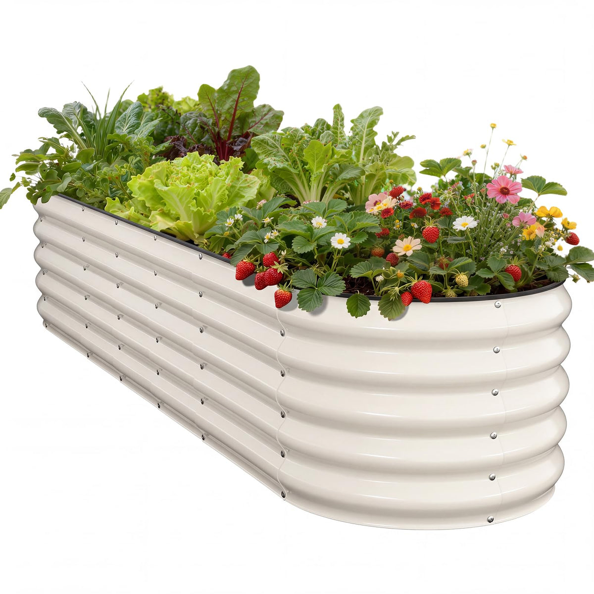 Pattiumo Galvanized Raised Garden Bed 8×2×1.5 FT, Round Metal Raised Garden Bed Outdoor Planter Box