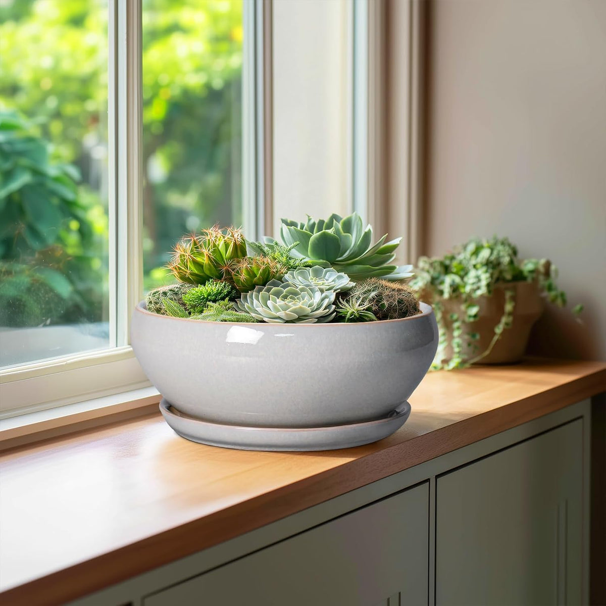 SQOWL Bonsai Pots - 10 Inch Ceramic Succulent Pots with Drainage Hole and Saucer, Large Shallow