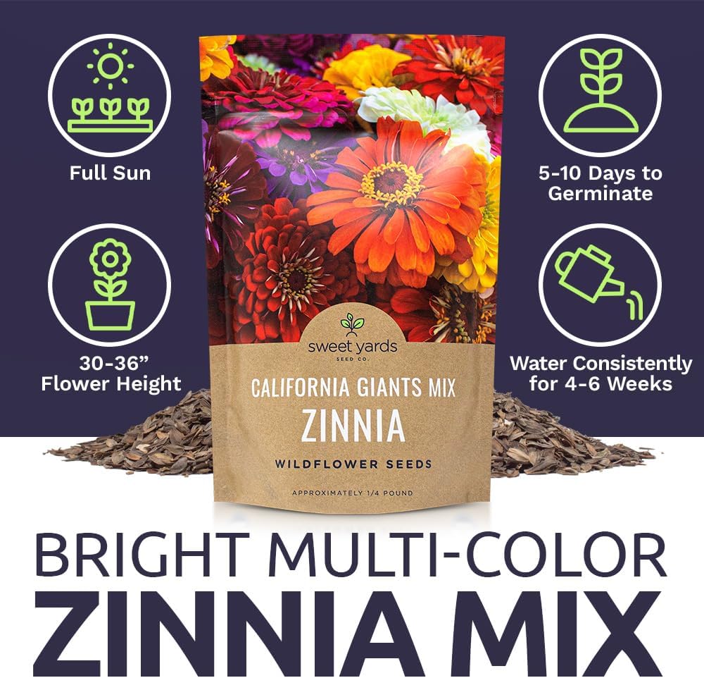 Bulk Zinnia Seeds - California Giants Mix - Bulk 1/4 Pound Bag Over 12,000 Flower Seeds - Mixed