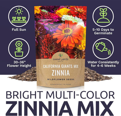 Bulk Zinnia Seeds - California Giants Mix - Bulk 1/4 Pound Bag Over 12,000 Flower Seeds - Mixed