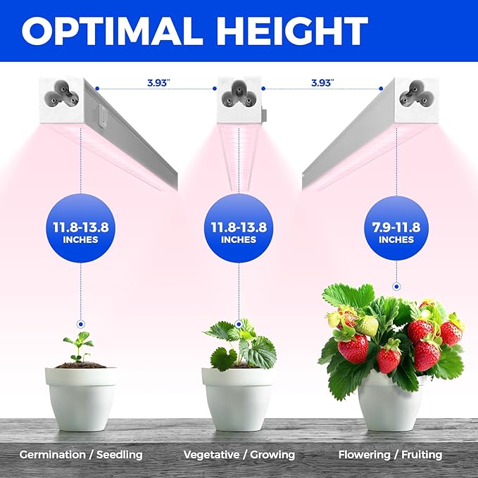Barrina Grow Light for Indoor Plants, Full Spectrum Sunlight, 1ft Grow Lamp, LED Grow Light Bulbs