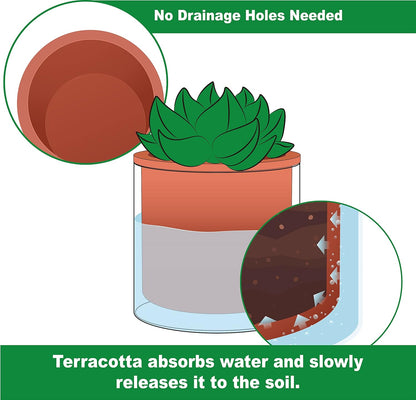 Phoenix Vine 4 Inch 6 Inch Self Watering Plants Pots, Design Terracotta Pots for Plants, Indoor