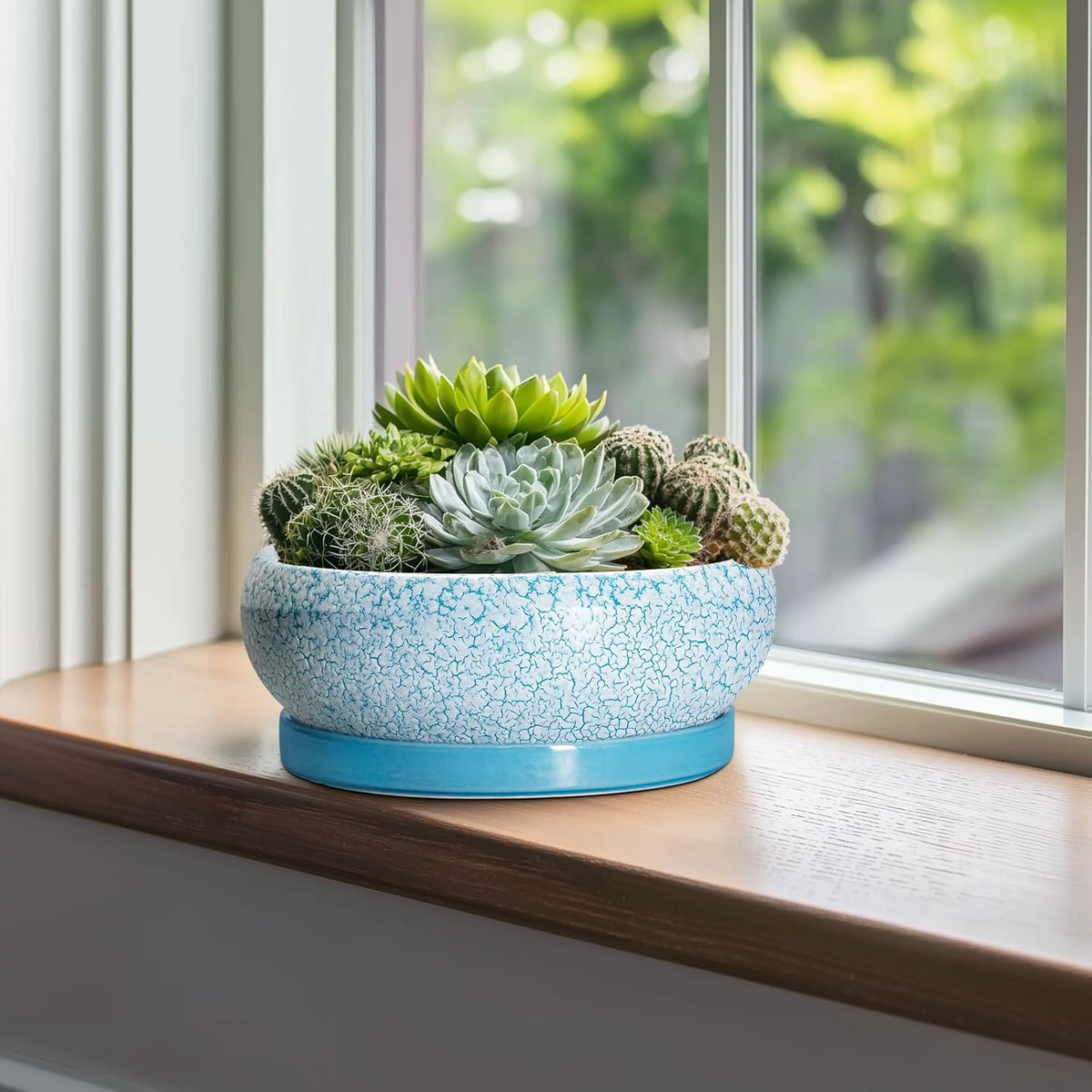 Bonsai Pots 10 Inch - Shallow Ceramic Planters for Indoor Outdoor, Succulent Pots with Drainage