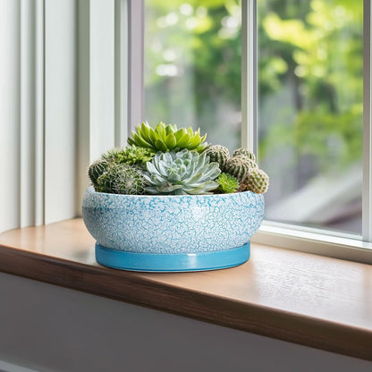 Bonsai Pots 10 Inch - Shallow Ceramic Planters for Indoor Outdoor, Succulent Pots with Drainage