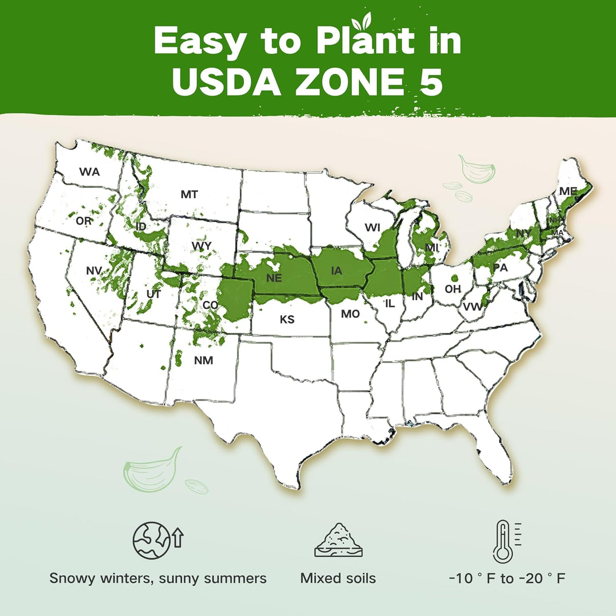 Lush&Dew Year-Round USDA Zone 5 Seed Bank, 32 Varieties Non-GMO Heirloom Seeds of Vegetables
