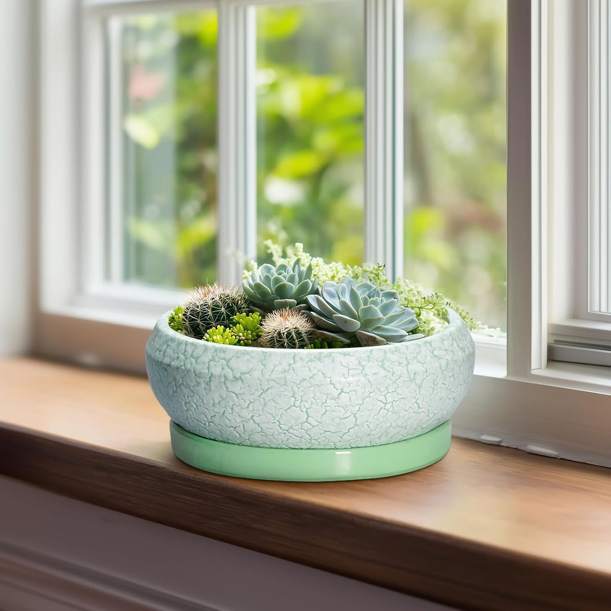 Bonsai Pots Ceramic - 8 Inch Succulent Pots Indoor Outdoor, Shallow Planters with Drainage Hole and
