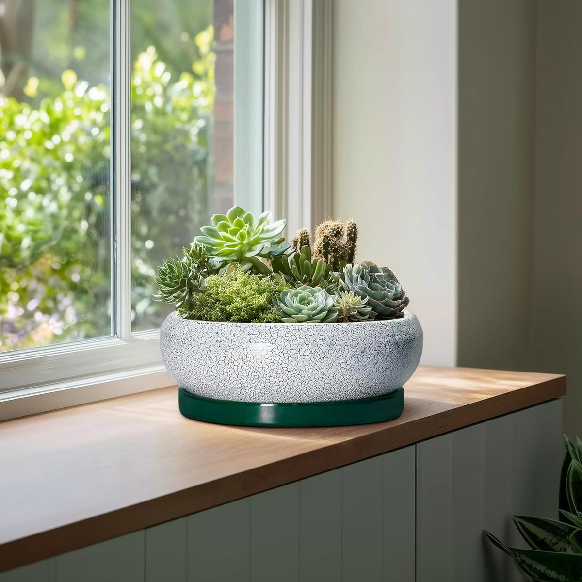Bonsai Pots 13 Inch - Shallow Ceramic Planter with Drainage Hole and Saucer, Round Succulent Pots