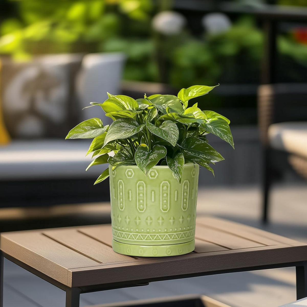 Ceramic Pot for Plants - 6 Inch Indoor Planter with Drainage Hole and Saucer, Round Decorative