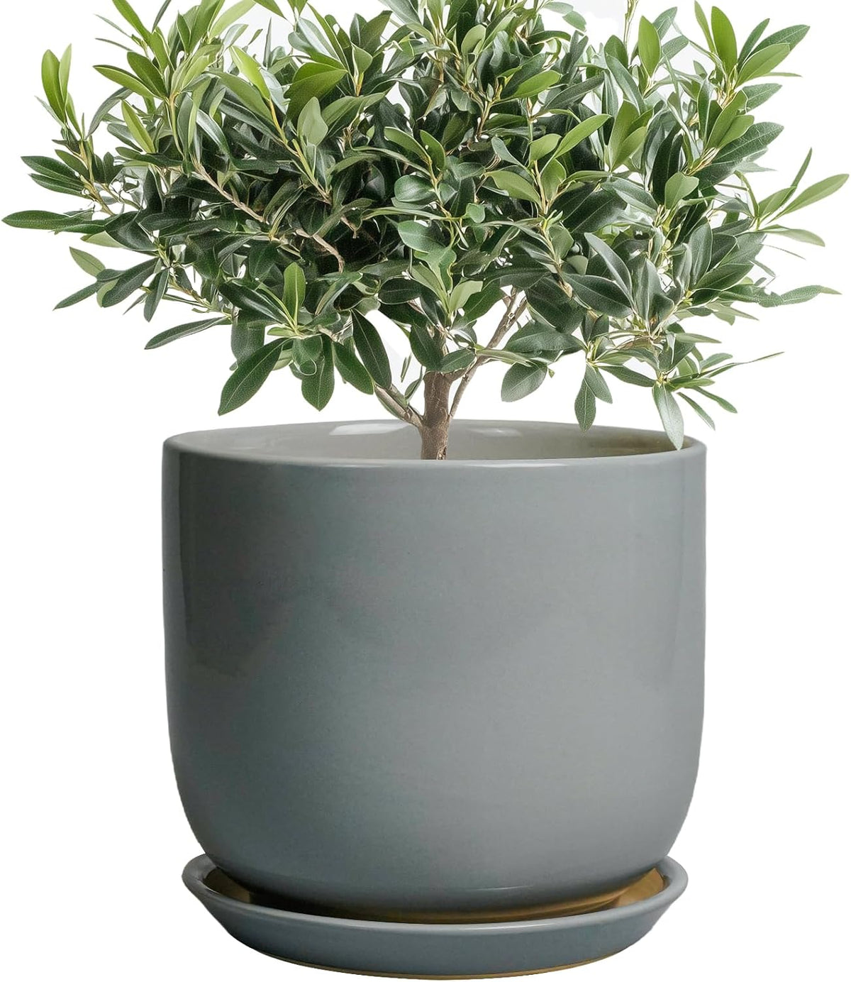 Ceramic Planter for Indoor Outdoor Plants - Cylinder Decorative 8 Inch Plant Pot with Drainage Hole