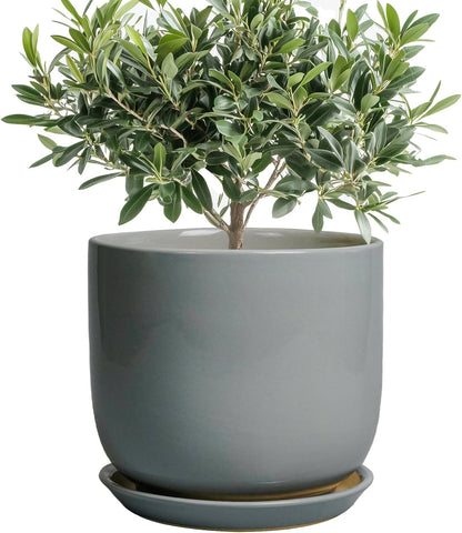 Ceramic Planter for Indoor Outdoor Plants - Cylinder Decorative 8 Inch Plant Pot with Drainage Hole
