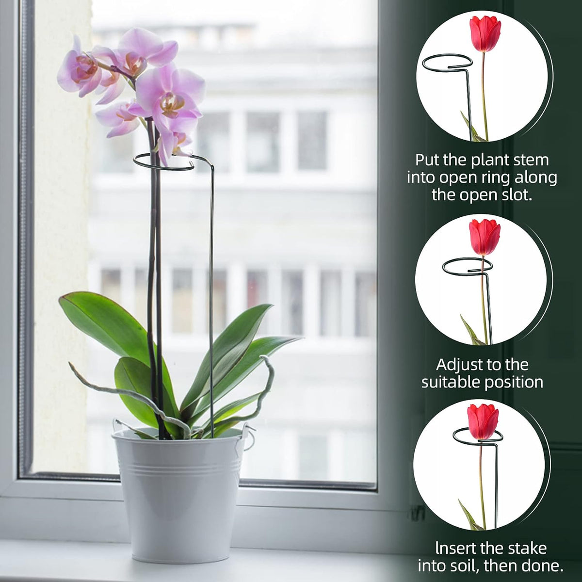 Green Metal Plants Support Stakes (Pack of 8), Garden Single Stem Plant Support Rod and Ring with