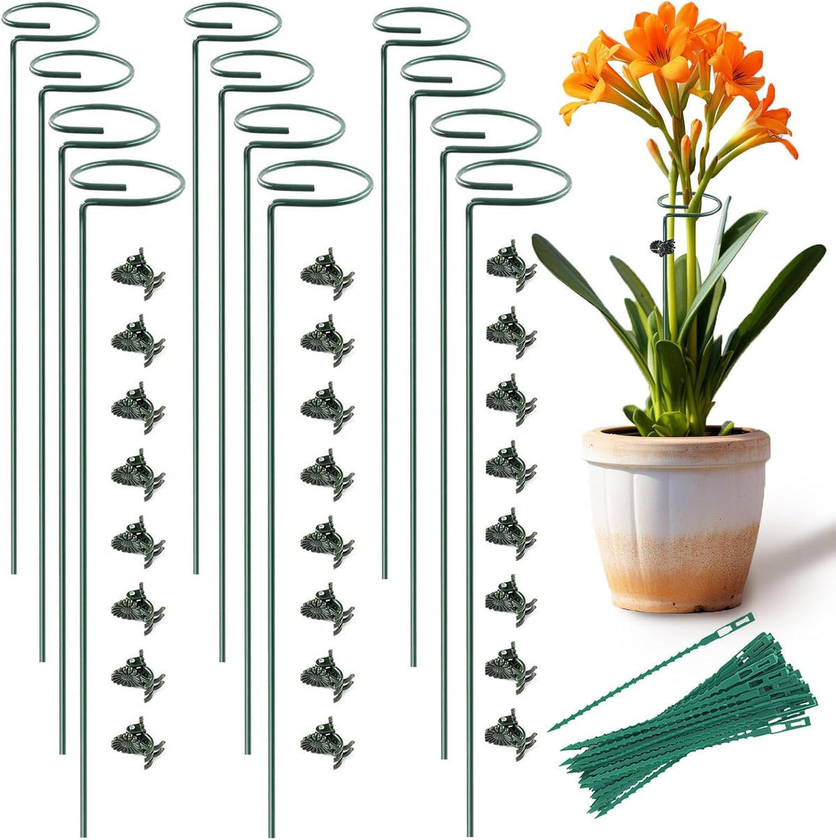 Plant Stake Support - 12 Pack, Garden Single Stem Support Stake Plant Cage Support Rings, Plant