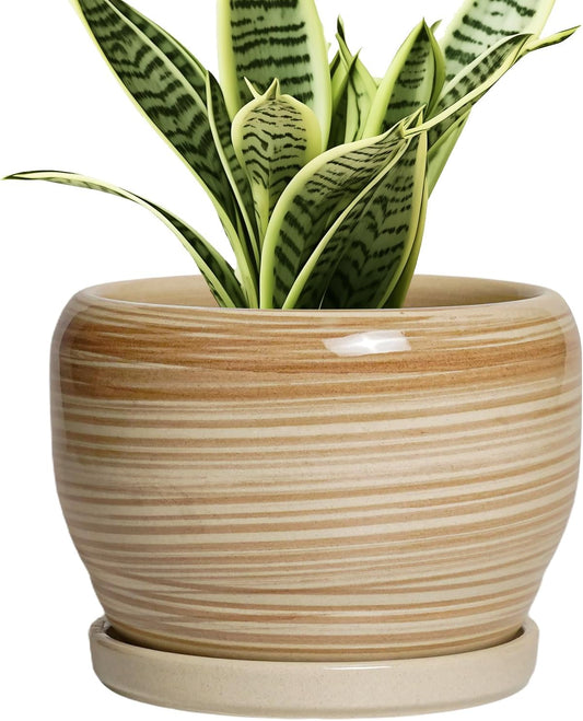 SQOWL Ceramic Pot for Plants - 6 Inch Indoor Planter with Drainage Hole and Tray, Round Modern