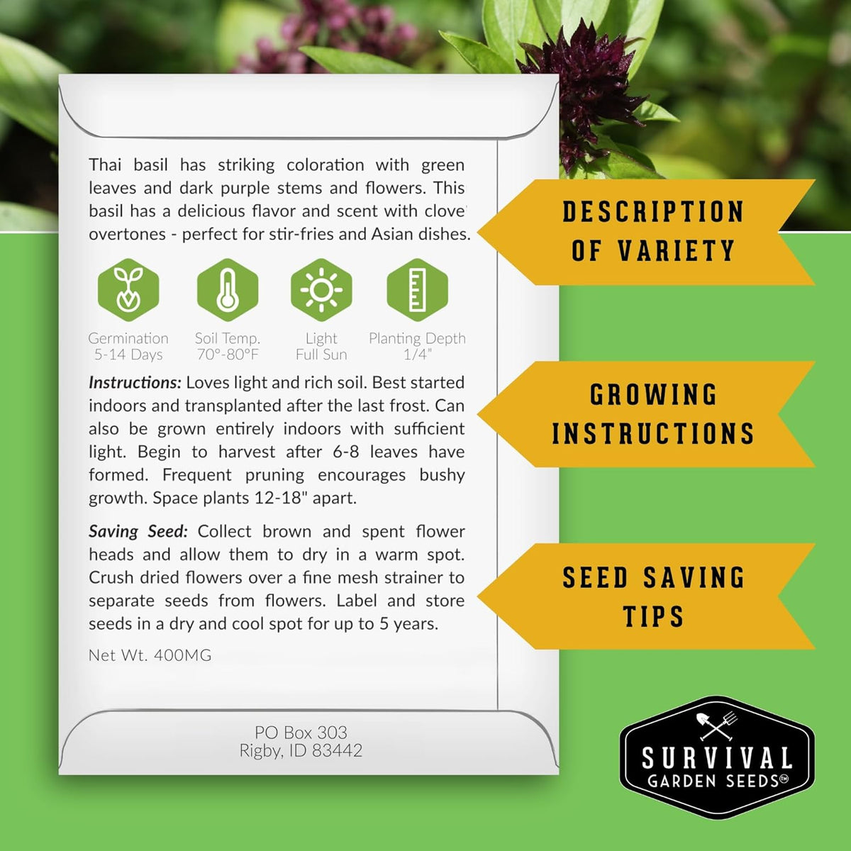Survival Garden Seeds - Thai Basil Seed for Planting - 5 Packets with Instructions to Plant and