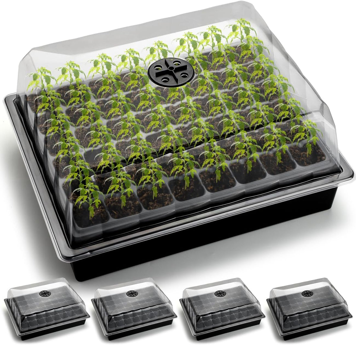 5-Pack No Drip Seed Starter Trays with 4" Humidity Dome - 240 Cells Deep Root Plug Trays, 2.76"