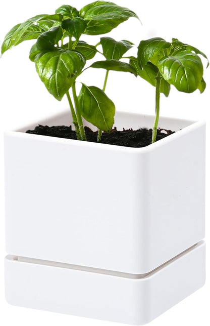 4 Inch Herb Planter Pot, Plastic Planter with Drainage Holes and Saucer, Modern Decorative