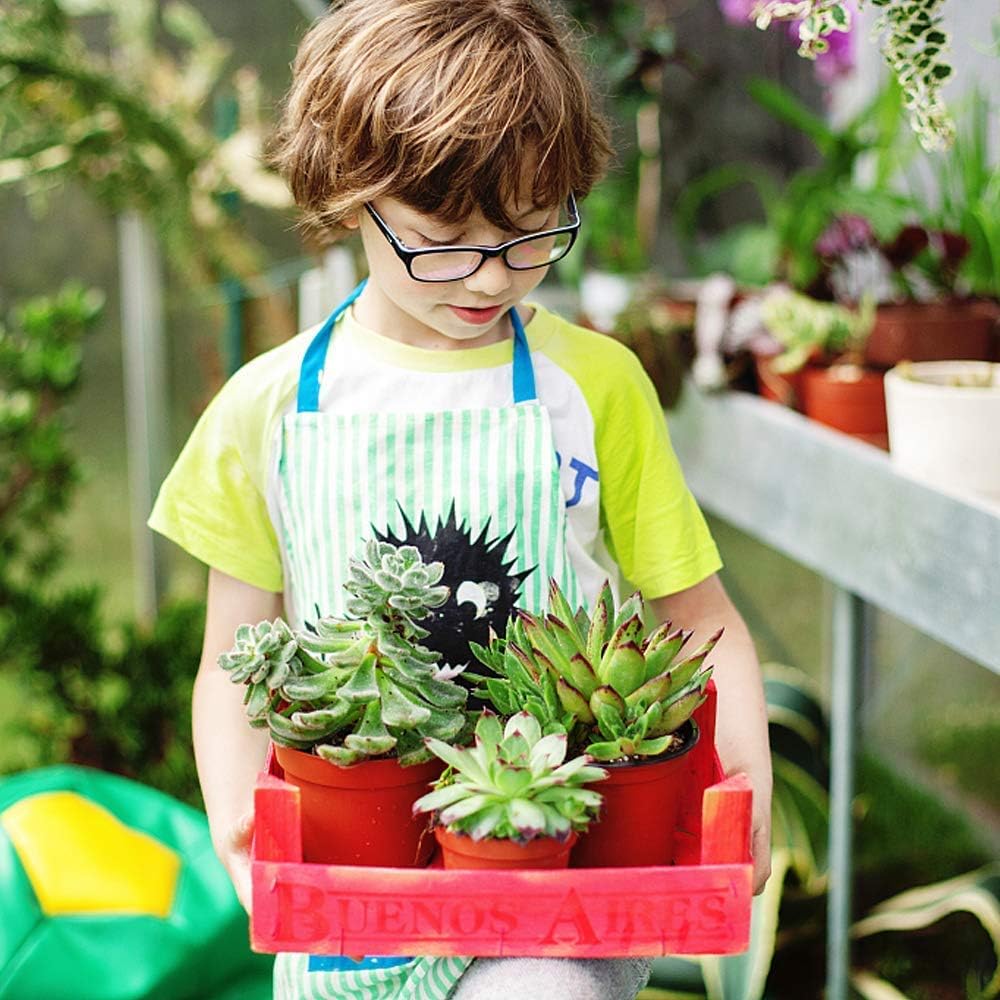 Augshy Nursery Pot, 75 Pcs 4" Plastic Nursery Seed Starting Pots Flower Plant Container for