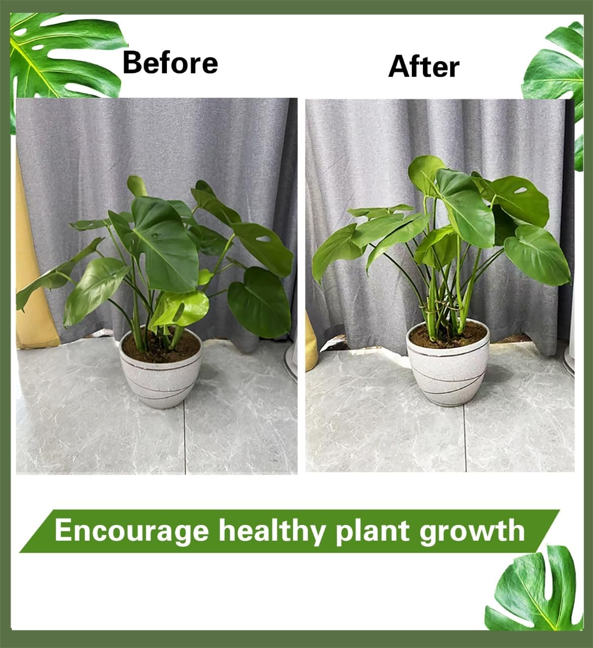 2PCS 6" Plant Stem Support,Stabilizer Grapple Holder for Monstera and Climbing Plants,Reusable