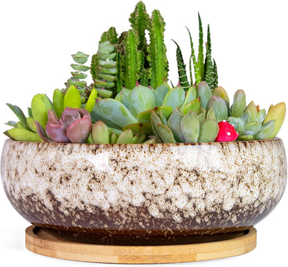 ARTKETTY Succulent Pots - 7.5 Inch Large Plant Pot with Bamboo Tray, Shallow Bonsai Pots with