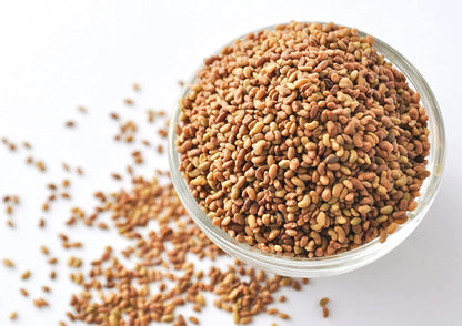 Food to Live Organic Alfalfa Seeds for Sprouting, 12 Ounces - Non-GMO, Edible Seeds, Pure, Kosher