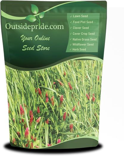 Outsidepride Gardenway Cover Crop Seeds - 10 lbs Nutrient-Rich Seed Mix for Soil Health Improvement