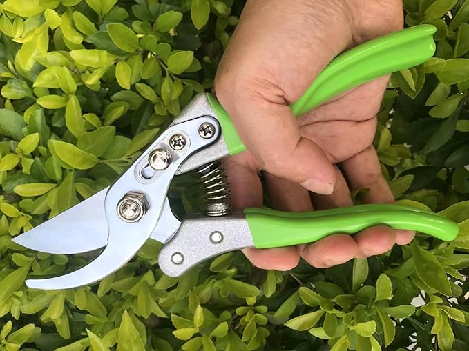 Garden Shears, Japanese Pruning Shears for Heavy Duty, Flowers Herbs Grapes Plant and Branch