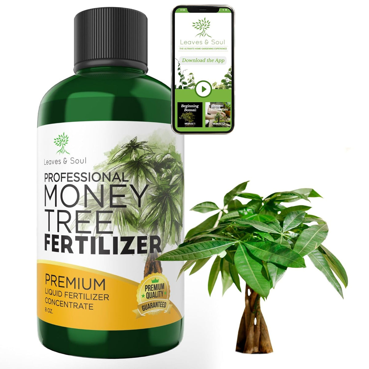 Professional Liquid Money Tree Fertilizer | 3-1-2 Concentrate for Plants and Flowers |