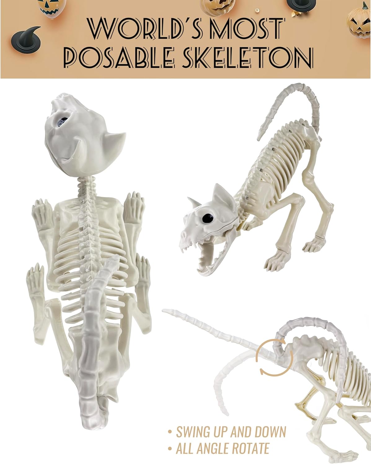 GIFTEXPRESS 2 Pack Real Size Cat Skeleton - 20" Long Creepy Kitten Skeletons with Posable Tail