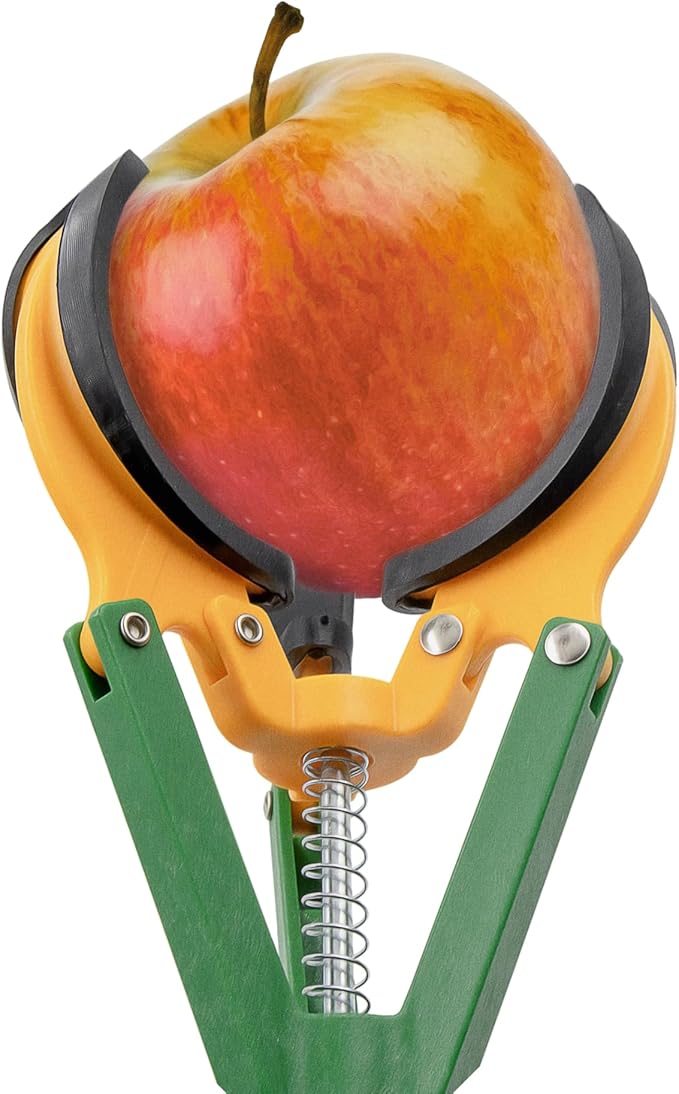 Zenport ZL6146B Long Reach Telescopic Fruit Harvester and Picker, 10-Feet Extension, Gray