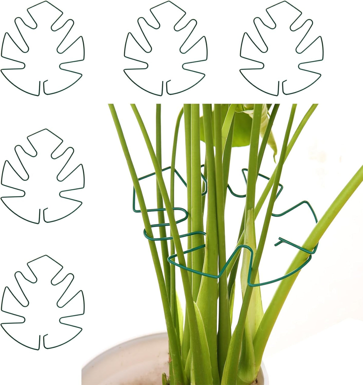 Spiritlele 5 Pcs Green Plant Stem Support Holder Set Monstera Plant Support Clamp Growth
