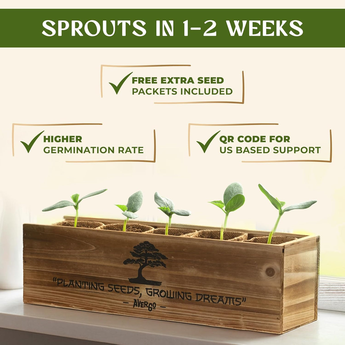 AVERGO Bonsai Tree Kit for Beginners – 5X Unique Japanese Bonzai Trees | Complete Indoor Starter