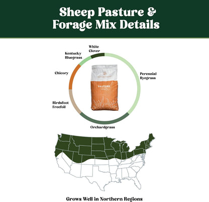 Nature's Seed Northern Sheep Forage Mix, Cattle Pasture Grass Seed Cool-Season Blend