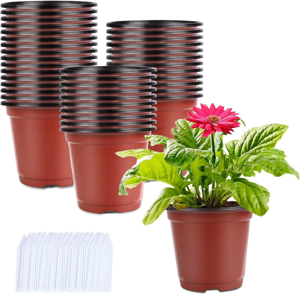 Augshy 250-Pack 4 Inch Plant Nursery Pots Seed Starting Pots Containers with 300 Labels for Indoor