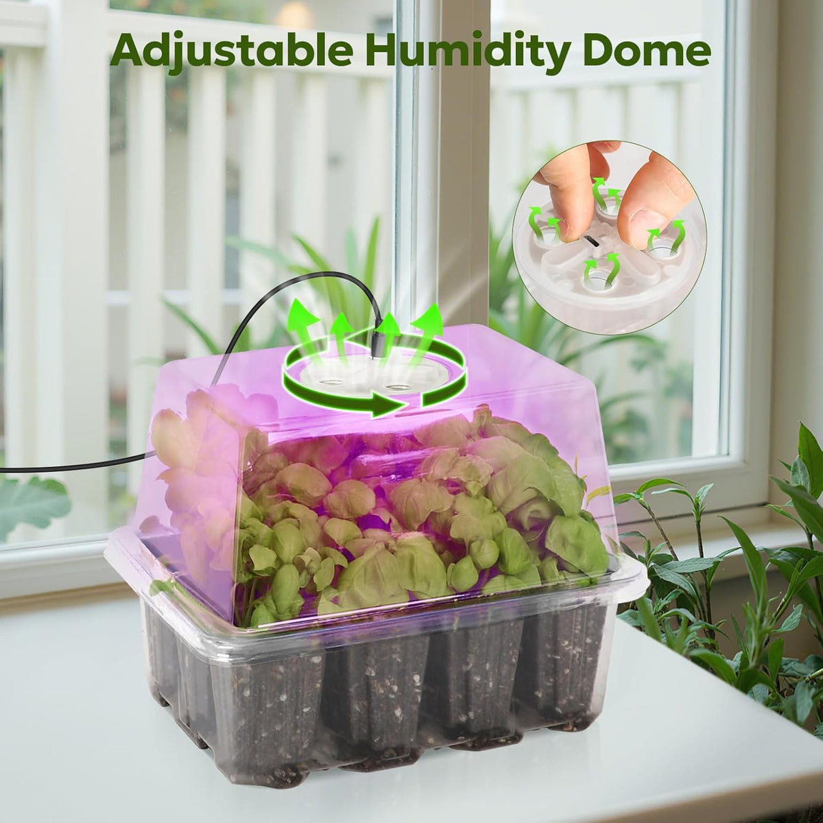 MIXC Seed Starter Kit with Grow Light, Elevated Seedling Tray Kit with Adjustable Humidity Dome and