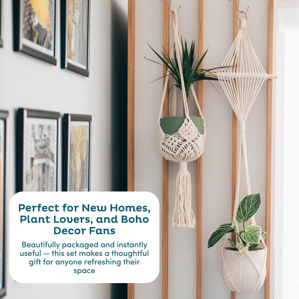 Nook Theory 4-Pack Macrame Plant Hangers with 8 Hooks - Hanging Planters for Indoor Plants, Boho