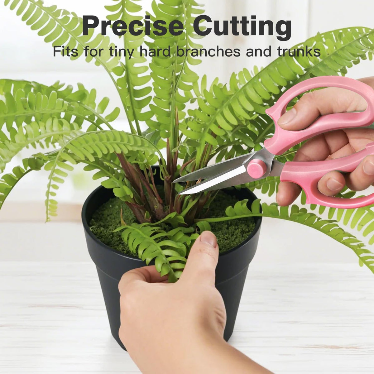 Housolution Flower Scissors, 3 Pack, Strong Floral Shears, Premium Steel Pointed Garden Pruning