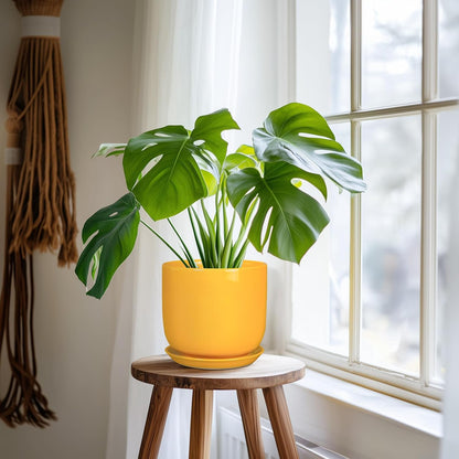 Indoor Plant Pot - 7 Inch Modern Round Ceramic Planter for Indoor Outdoor Plants with Drainage Hole