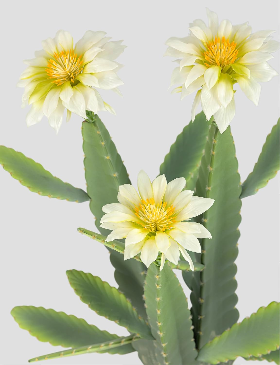 33 Inch Large Artificial Cactus with Lilly White Flowers in Pot with Natural Gravel. Satin Finish