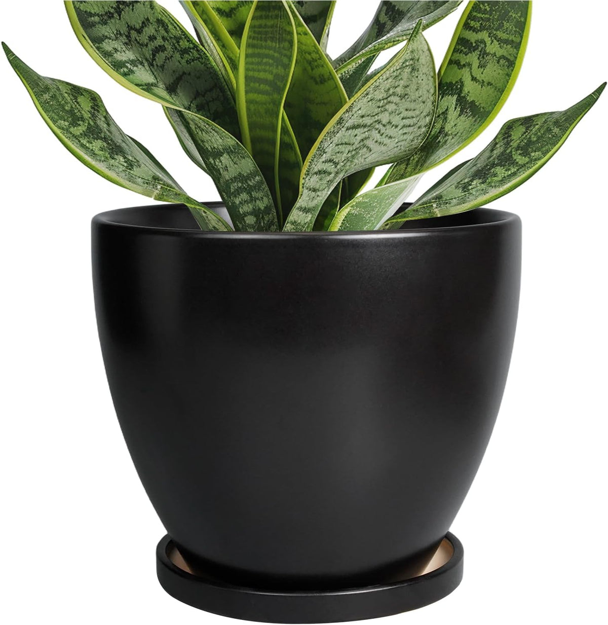 Ceramic Pots for Plants - 6.8 Inch Plant Pot with Drainage Hole and Saucer, Succulent Round Flower
