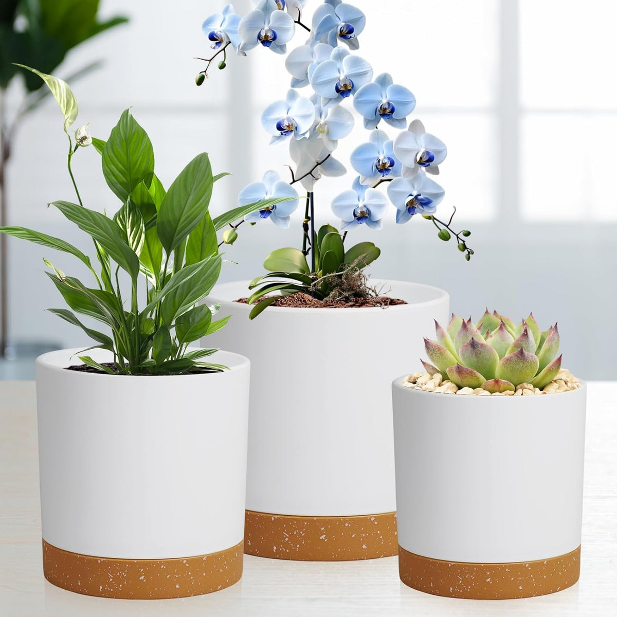 5 Pack Cylindrical Flower Pots with 7/6.5/6/5/4 inch, Modern Small Plastic Plant Pots with Drainage
