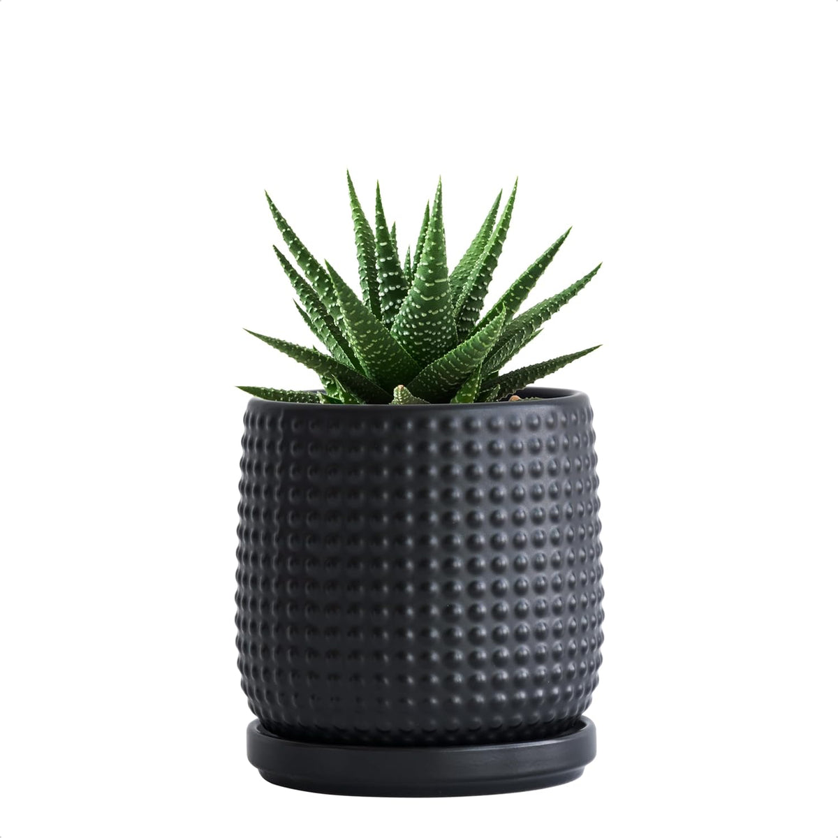 D'vine Dev 4 Inch Ceramic Beaded Stoneware Planter Pot - Flower Pot with Drainage Holes and Saucers