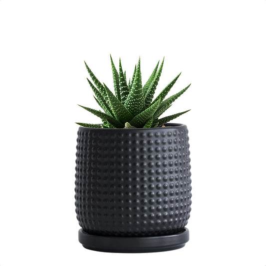 D'vine Dev 4 Inch Ceramic Beaded Stoneware Planter Pot - Flower Pot with Drainage Holes and Saucers