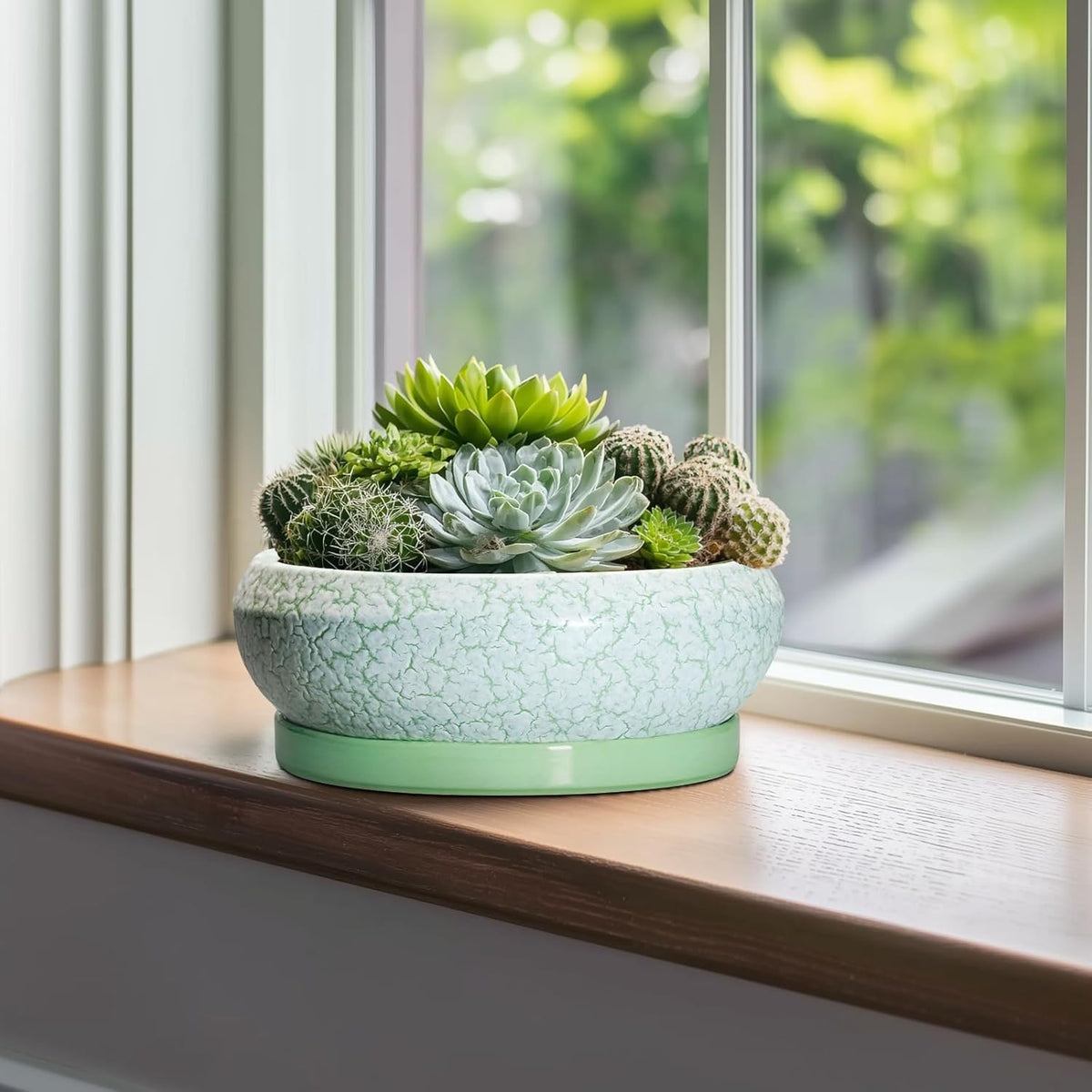Bonsai Pots - 10 Inch Ceramic Succulent Pot with Drainage Hole and Plant Saucer, Succulent Planters