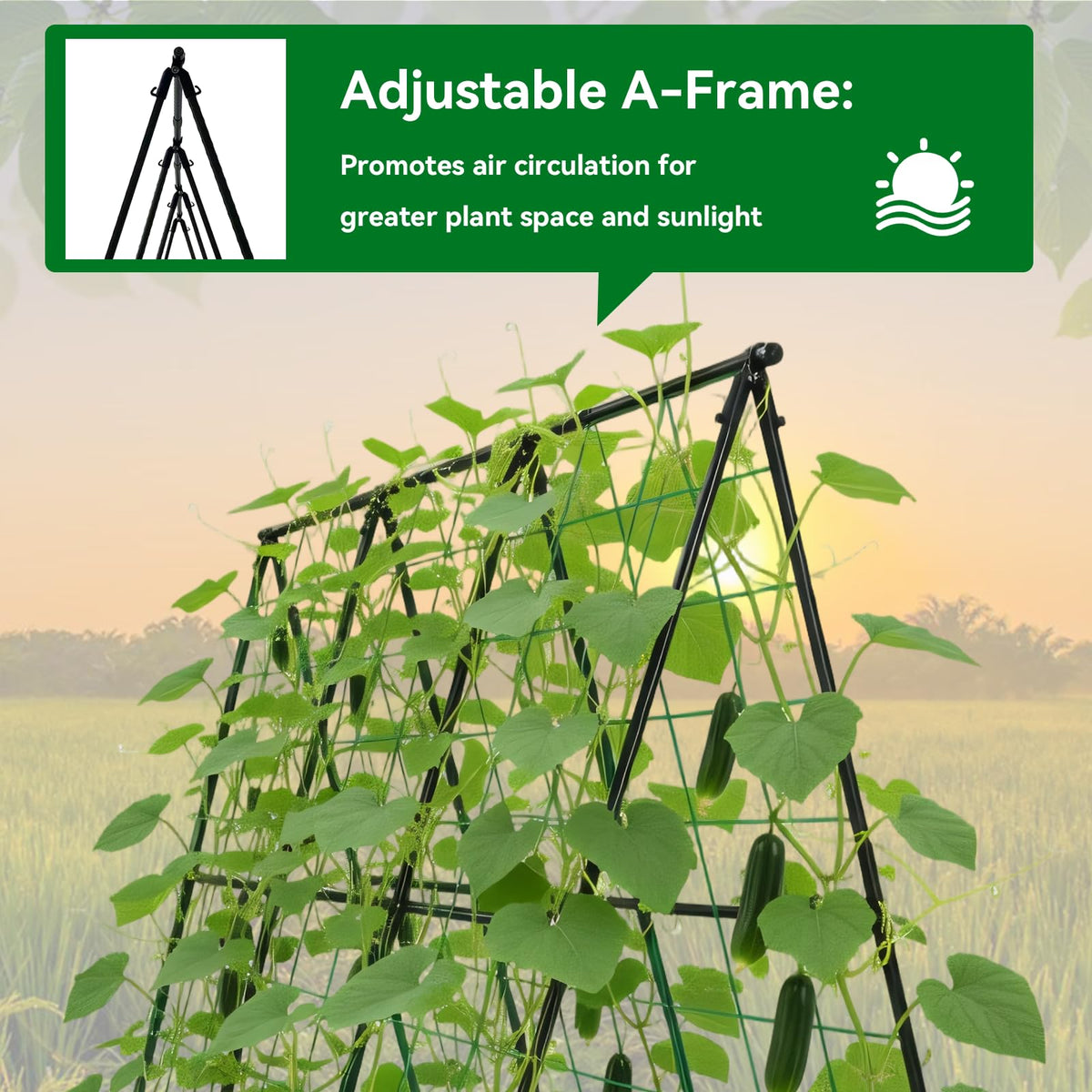 Trellume Cucumber Trellis - 49.4"*49.4" Metal Garden Trellis for Climbing Plants, Garden Trellis