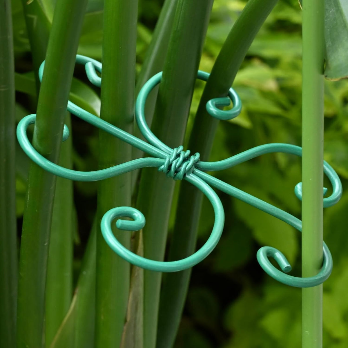 5PCS Monstera Plant Support Hook - 4.1 * 4.4IN, Durable Flexible Stabilizers for Indoor Plants