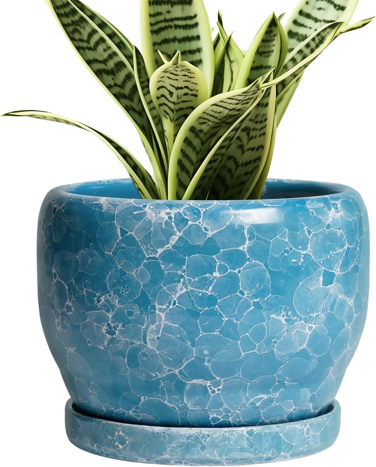 SQOWL 6 Inch Plant Pot - Ceramic Indoor Planter with Drainage Hole and Saucer, Decorative Ceramic