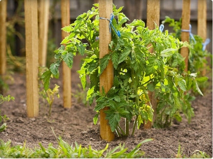 Greenes Fence Grade Stakes 24 in. Long (128-Pack)