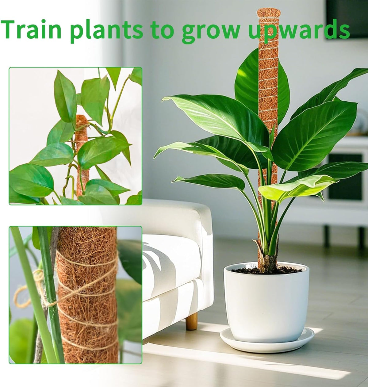 2 Pack 48 Inch Moss Pole Monstera Plant Support, Coir Moss Poles for Climbing Indoor Plants