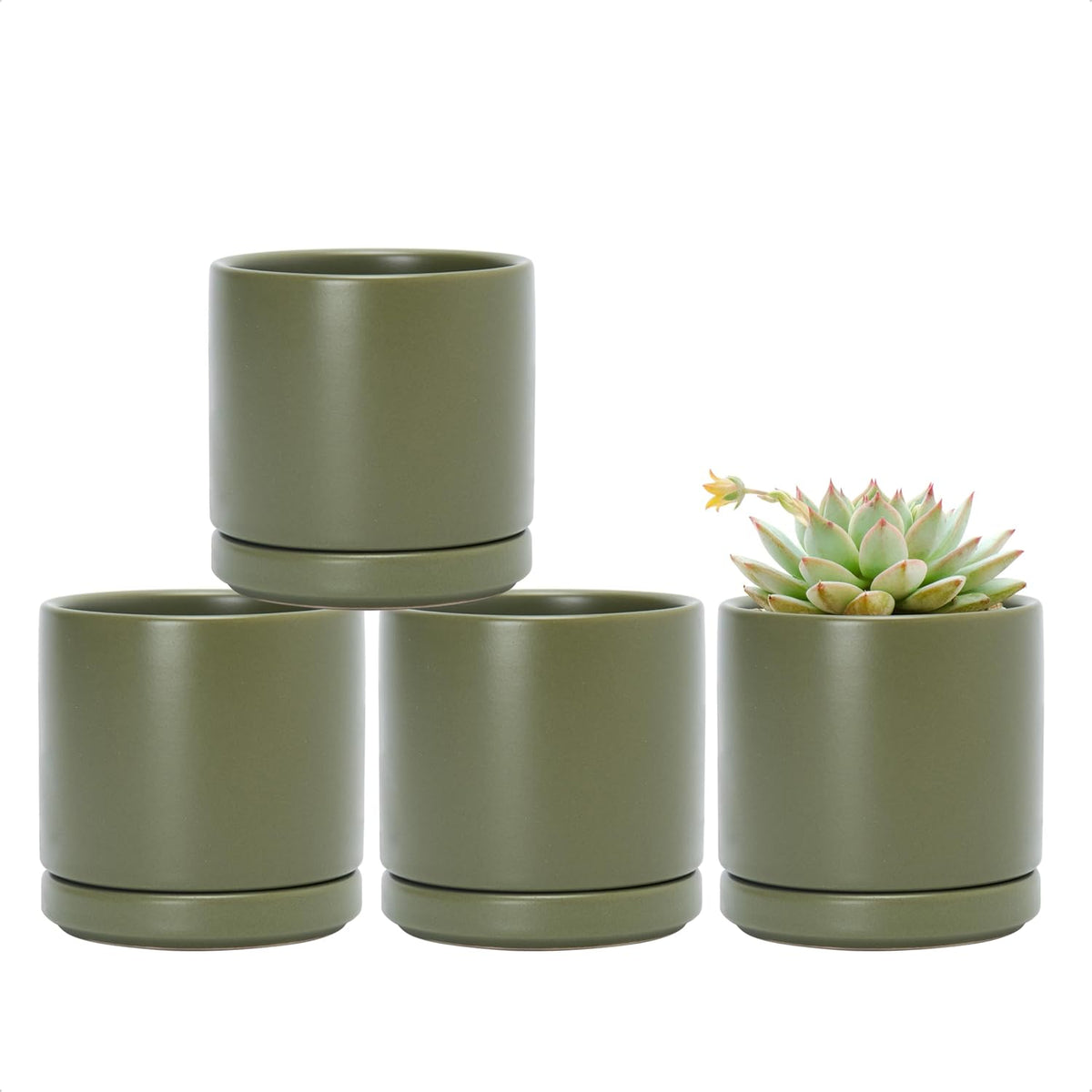 D'vine Dev Set of 4 Small Ceramic Plant Pots, 3.5 Inch Succulent Planter Pot for Plants with